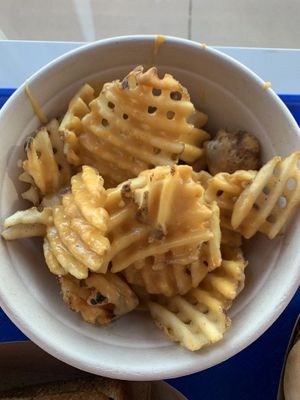 Cheese fries  at Meta Burger in Boulder