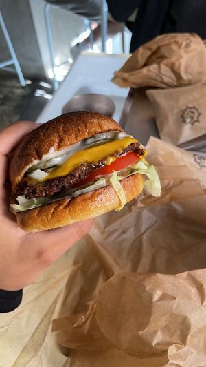   at Ameaça Vegetal in Lisbon