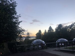 Outdoor bubbles at Taypark House  in Dundee