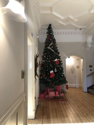 Christmas tree at Taypark House  in Dundee