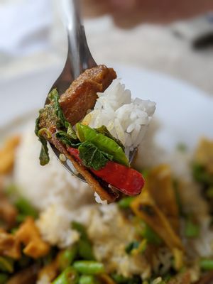 Vegan Fried Basil at Tukta in Koh Tao