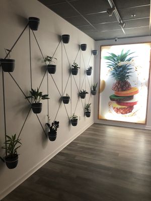 Real plants!! at OMG Juice Bar in Peachtree City