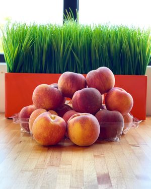  at OMG Juice Bar in Peachtree City