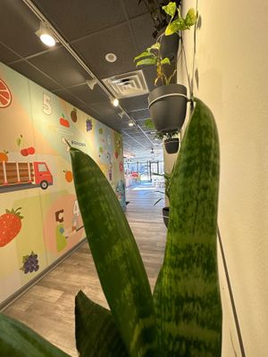  at OMG Juice Bar in Peachtree City