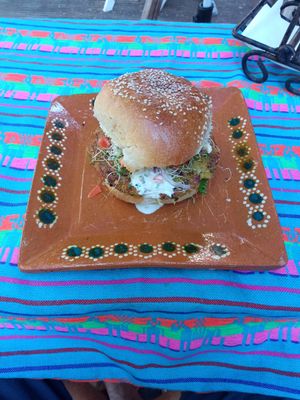 Falafel Burger at El Falafel de la Colmena in Valladolid