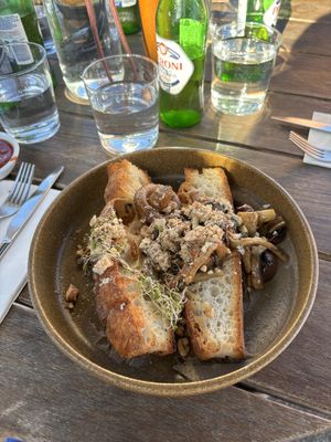 Miso mixed mushrooms on toast  at Port of Call in Sandringham