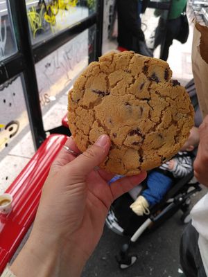  at Gecko Coffeehouse in East London