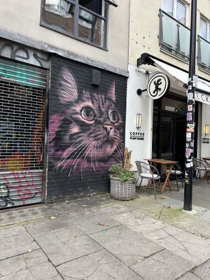   at Gecko Coffeehouse in East London