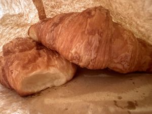   at Gecko Coffeehouse in East London