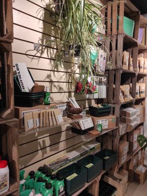 Plant kit at Cork Rooftop Farm Shop in Cork