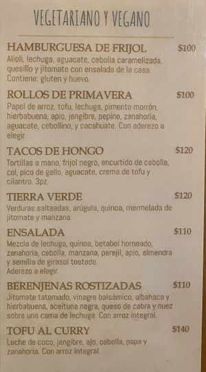 Vegan section on the menu at Arena Negra in Mazunte