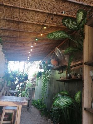 Plants everywhere! at Home No.8 in Krabi