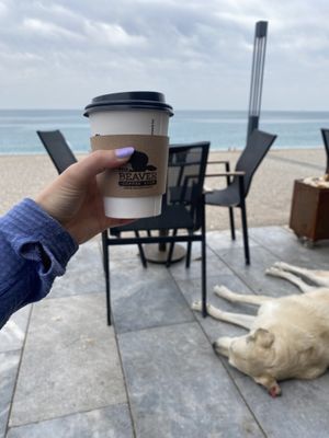   at The Beaver Coffee Shop in Antalya