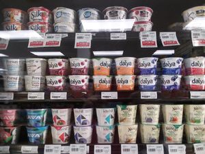 Yogurts at Earth Origins Market in Port Charlotte