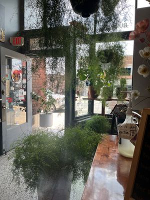   at Naughty Buddha in Omaha