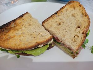Veggie sandwich at Bread + Roses in Hyannis