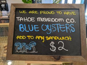Delicious blue oyster mushrooms at Tahoe Bagel in South Lake Tahoe