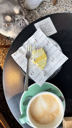 Lemon matcha cake & cappuccino with oat milk   at Anne&Max in Apeldoorn