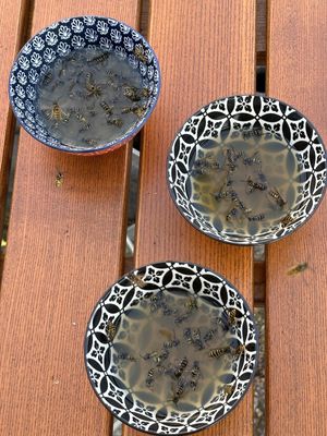 Tierfreunde sollten diesen Ort meiden! at Cafe MUSTI in Erfurt