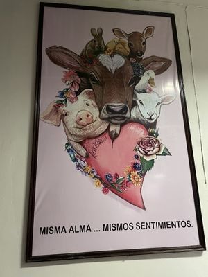 The best food I had in Cochabamba so far… although the service wasn’t the best. There was only one person to cook, serve the tables and to attend the retail.   at Tulasi in Cochabamba