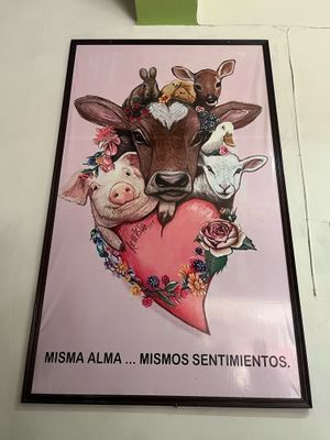  at Tulasi in Cochabamba