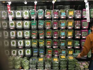Hune salad section. at Whole Foods Market - Manattan West in New York City