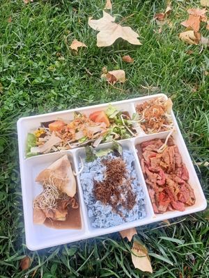 Vegan set menu lunch at Bep Chay in Toulouse