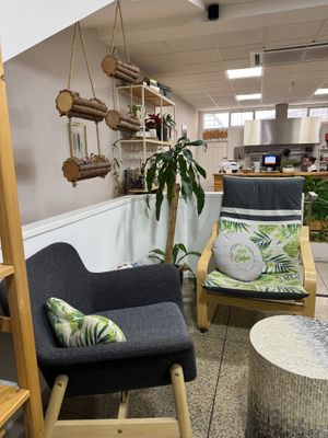 Interior at 100 Culpa in Porto