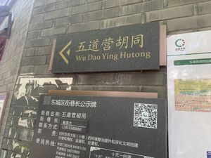 On WuDaoYing Hutong with many nice little store at Chīsù De - Veggie Table in Beijing