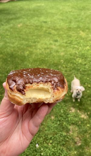 My favorite, the boston cream!  at Neil's Donuts in Middletown