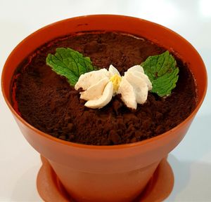 tiramisu at Vivi's Veggie in Seoul