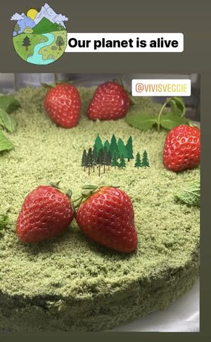 Special cake for the earth day  at Vivi's Veggie in Seoul