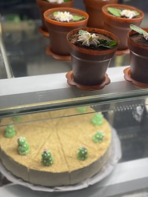 Earth day special  at Vivi's Veggie in Seoul