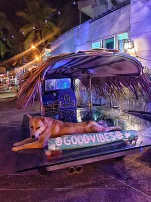 Nice ambience and decor at Soul Phuket in Phuket