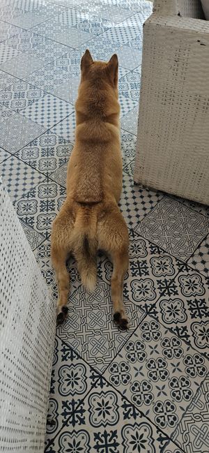  at Soul Phuket in Phuket