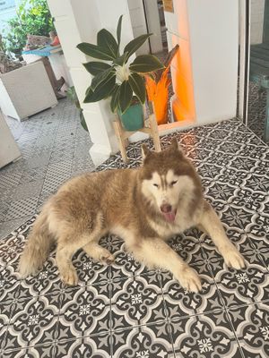   at Soul Phuket in Phuket