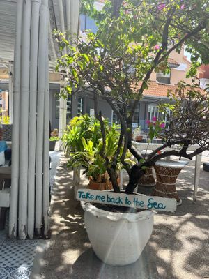   at Soul Phuket in Phuket