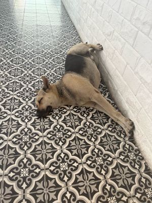   at Soul Phuket in Phuket