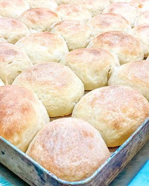  at Shije Fshati in Tirana