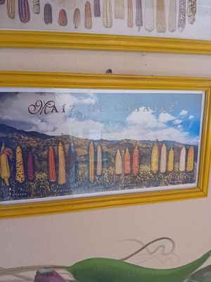  at Milpa in San Cristobal De Las Casas