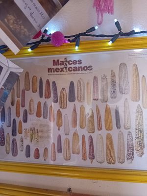  at Milpa in San Cristobal De Las Casas