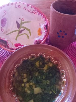  at Milpa in San Cristobal De Las Casas