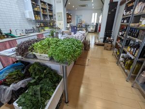 Greens at Red Verde in Sevilla