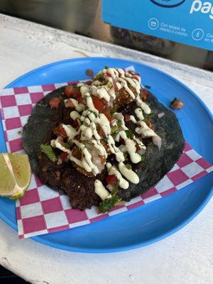 Paxil taco at Paxil in Mexico City