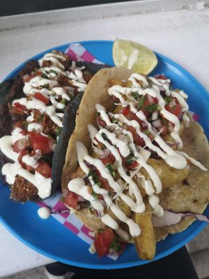  at Paxil in Mexico City