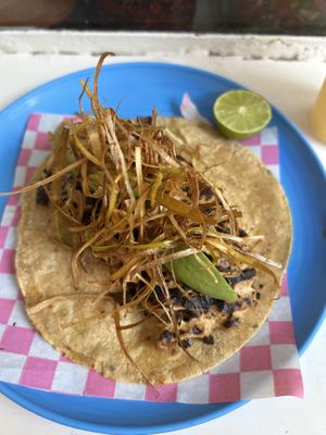   at Paxil in Mexico City