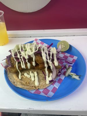   at Paxil in Mexico City