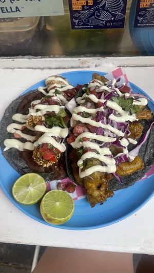   at Paxil in Mexico City