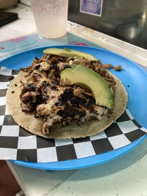   at Paxil in Mexico City