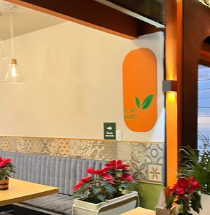   at Hummus YA! in Mexico City